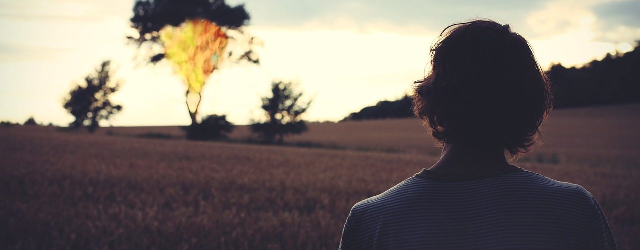 Elí Shepherd - Foro